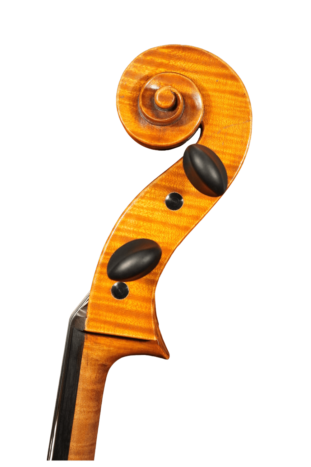 Laberte-Humbert Freres 1911 — Robert Cauer Violins